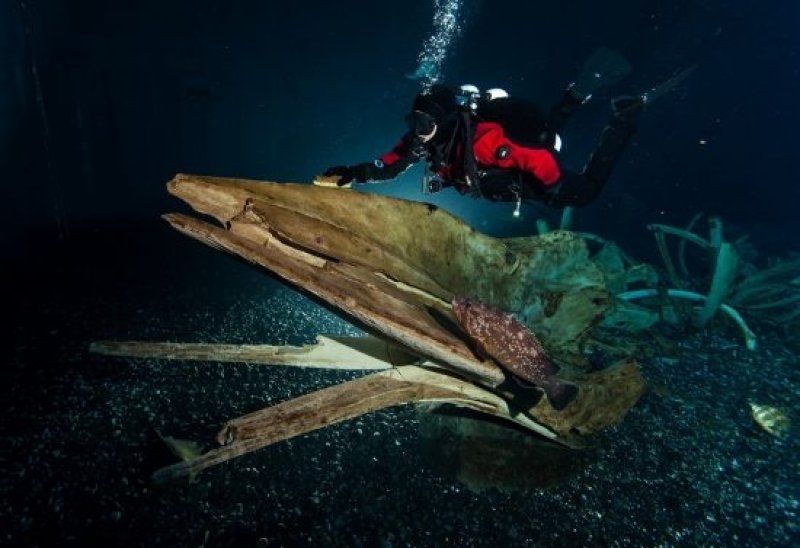 Ozeanuem: The "Open Atlantic" basin contains 2.6 million litres of water. All maintenance and cleaning work here must be performed by divers. (c) Uli Kunz
