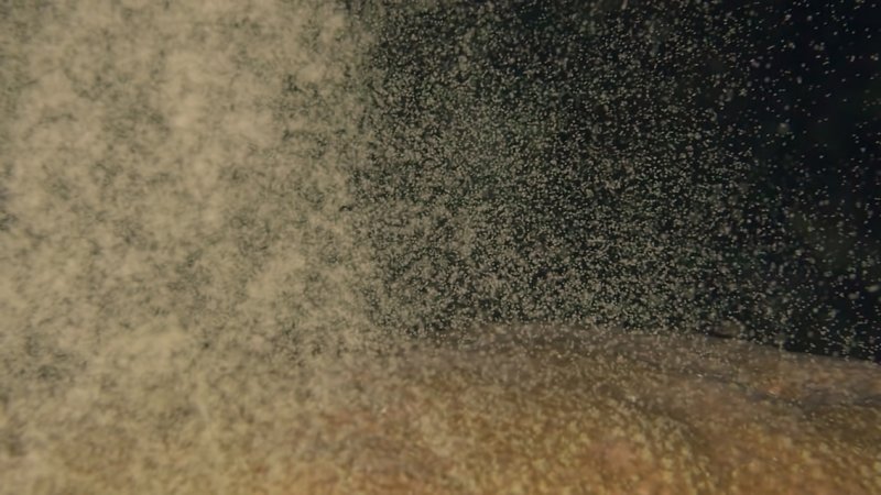 Mass spawning event: corals release egg-and-sperm bundles like