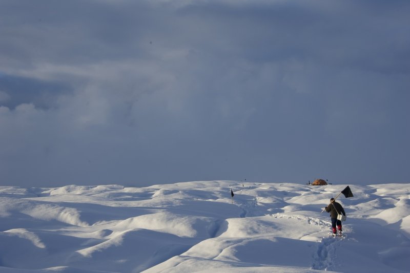 AWI glaciologist on the Russell Glacier in western Greenland. Image taken during an expedition led by AWI glaciologist Coen Hofstede.
(c) Coen Hofstede
