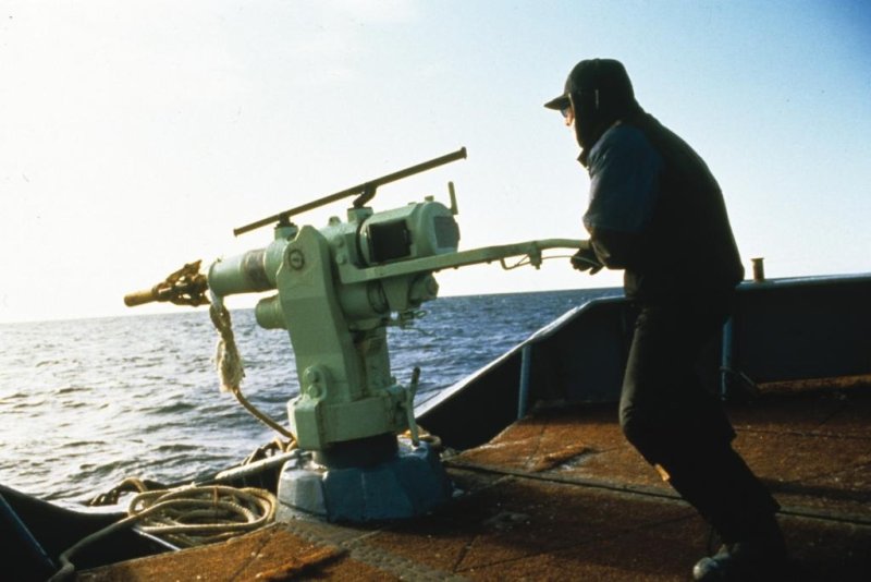 Whaling (c) Mark Votier