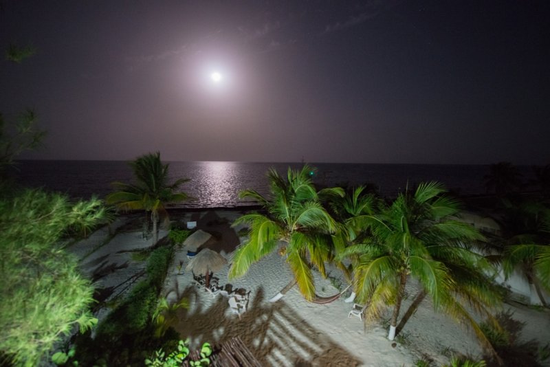 A corals love night, full moon over the Riviera Maya, Mexico by Paul Selvaggio
