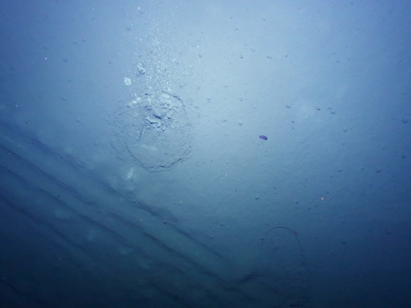 A shot of the seabed in the East Pacific at a depth of 4,000 metres. Thanks to the new LED technology, the scientists at GEOMAR were able to create hundreds of thousands of such images to form a huge photomosaic. Photo: © AUV "ABYSS", GEOMAR