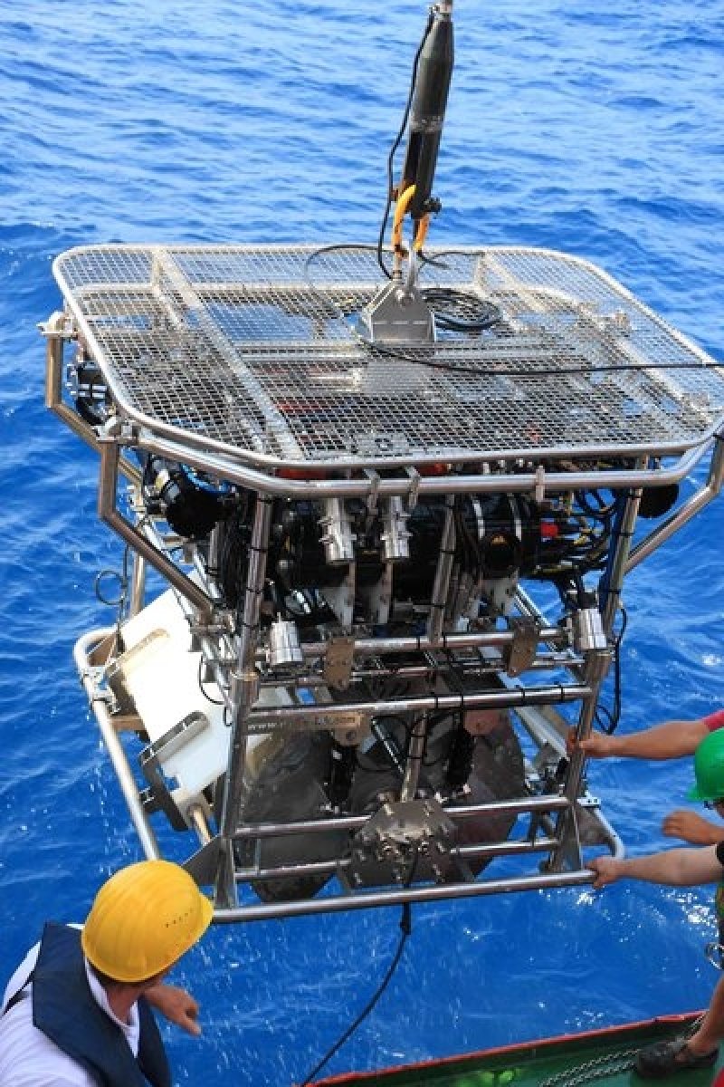 HyBis is a multi-purpose robotic underwater vehicle (RUV), which is controlled by a fiber optical cable and is equipped with a sampling grab.
(c) GEOMAR