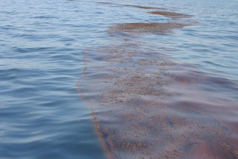 Oil spills and sunlight not a good mix for fish