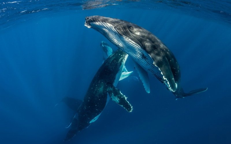 from the new online magacine HEINZ - Fabien Michenet