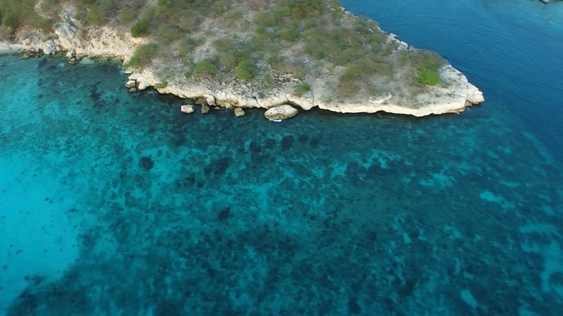 Coral reef aerial view, screenshot from SECORE – The Film, by Reef Patrol