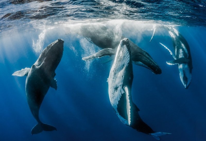 from the new online magacine HEINZ - Fabien Michenet