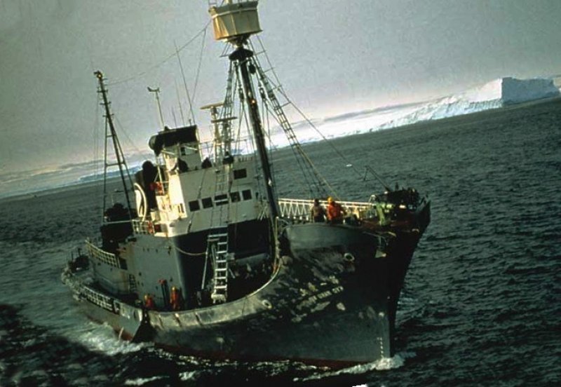 Japanese whaler
(c) Mark Votier / WDC