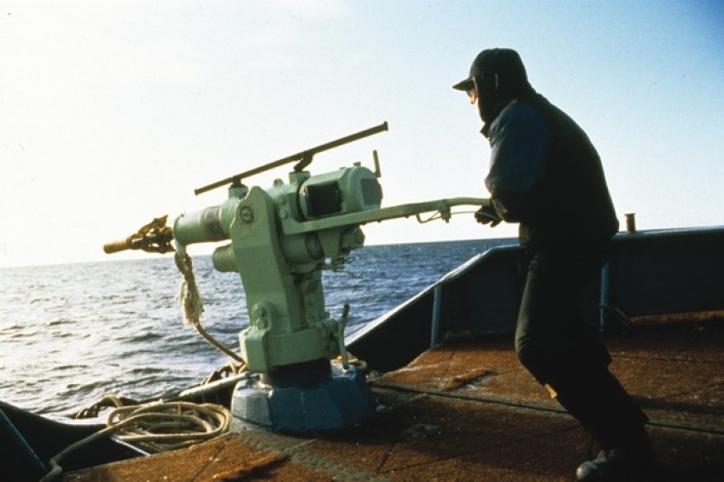 Japanese whaler
(c) Mark Votier / WDC