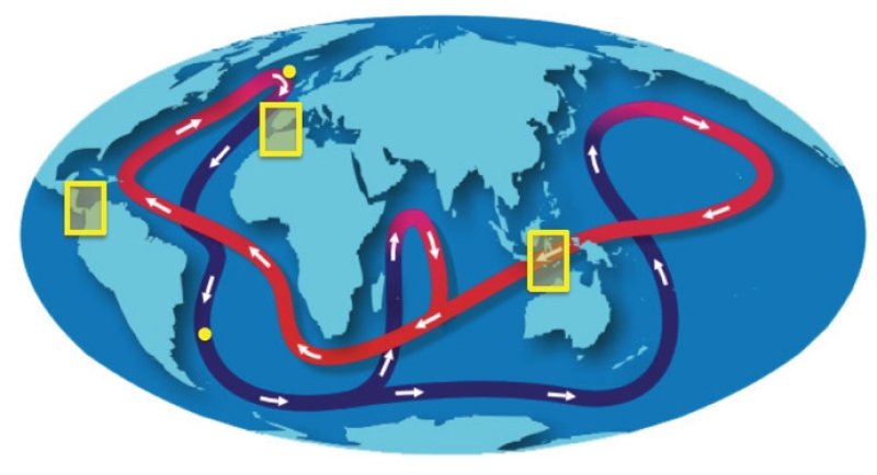 Simplified representation of present-day global oceanic overturning circulation (Surface currents are in red, deep water masses in blue). The Central American landbridge, Indonesian Throughflow and the Strait of Gibraltar (yellow rectangles) have a vital function in the variability of the circulation pattern. The yellow dots indicate the drill cores used in this study. Map: © NOAA