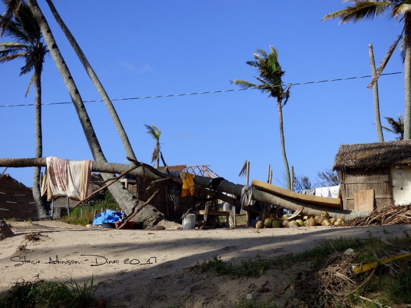 Diving mecca in Mozambique devastated by tropical storm
(c) Stacie Atkinson