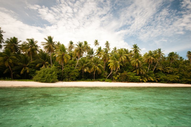 Micronesia’s success is due to the way it engages local fishers in protecting the area.
(c) Rebecca Weeks