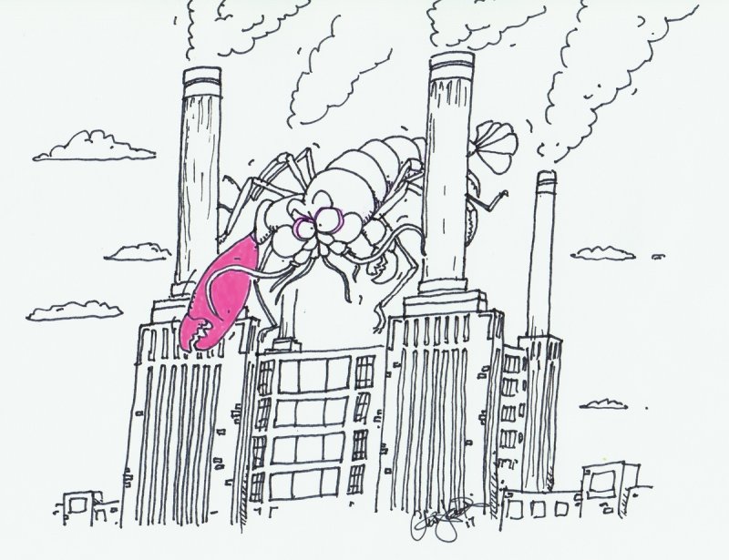 Another illustration celebrates Synalpheus pinkfloydi
(c) Chris Jarvis