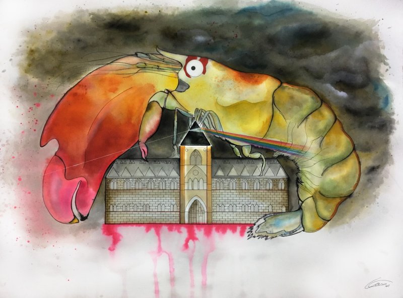 Another shrimp in the wall
(c) Kate Pocklington