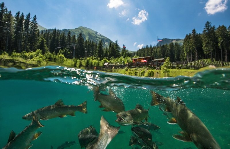 Diving Lake "Grüblsee" in Upper Styria
(c) Michael Weberberger