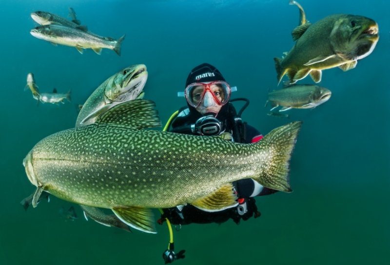 Diving Lake "Grüblsee" in Upper Styria
(c) Michael Weberberger