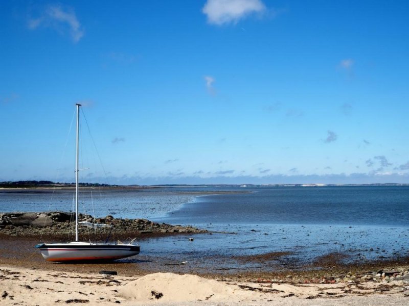 Protected habitat: The Wadden Sea in front of Sylt.
(c) Olaf Klodt / www.sylt-im-bild.de