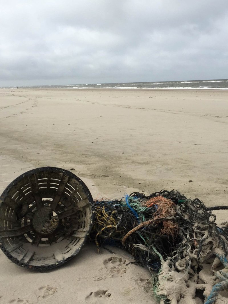 Trash problem: Fishing nets containing trash on the western coast of Sylt.
(c) Olaf Klodt / www.sylt-im-bild.de