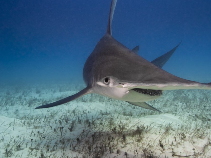 (c) Jan Finsterbusch