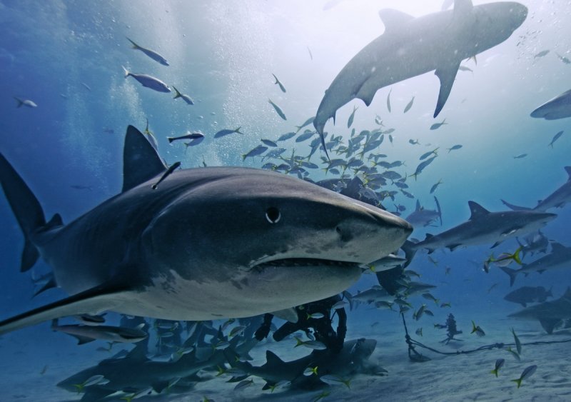 (c) Jan Finsterbusch