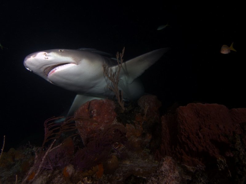 (c) Jan Finsterbusch