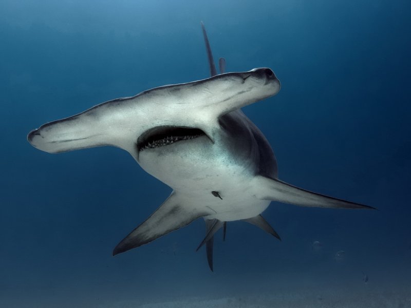 (c) Jan Finsterbusch