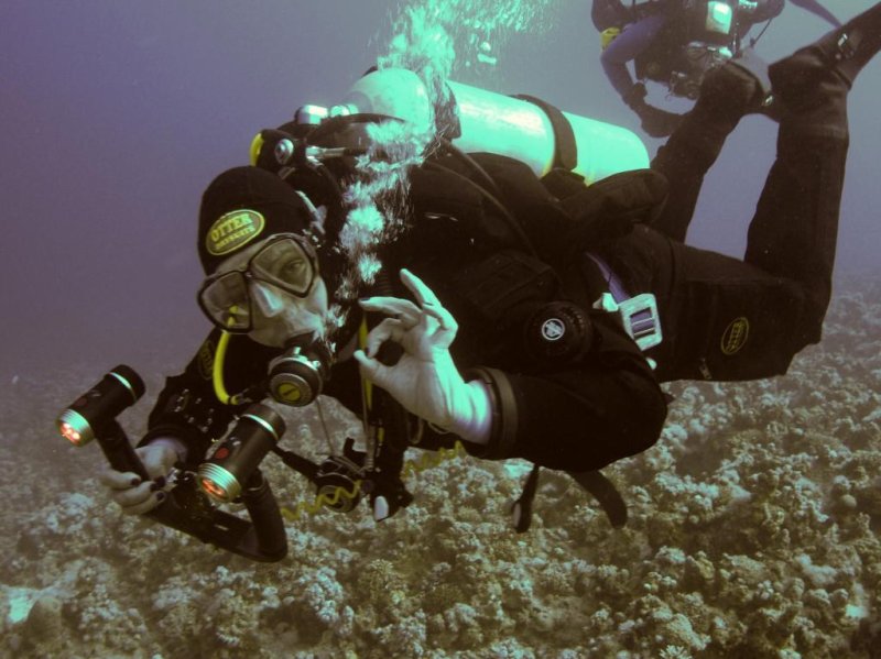 Perfect Trim: The swimming position is very streamlined and environmentally friendly. 