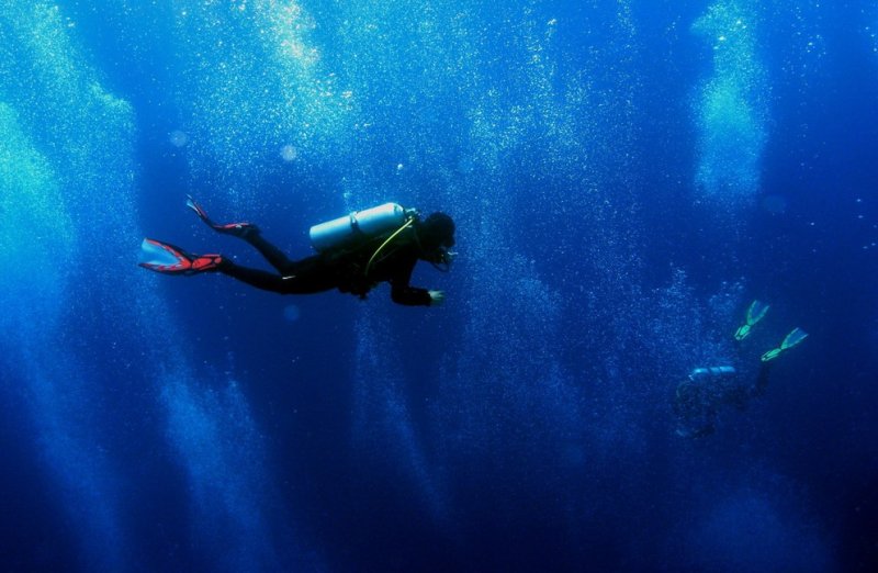 Buoyancy control and trim are the most important skills in diving.