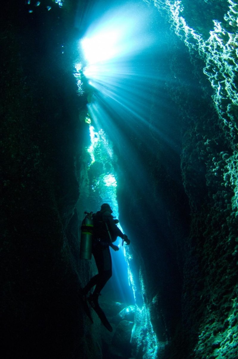 Beatiful Diving at Russel Islands (c) Steve Jones