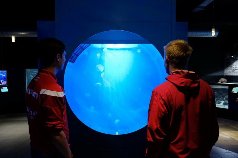 To conduct experiments on how selected species acclimatise to being in captivity and the future use of the jellyfish biomass during the "off season," an innovative cage will be built and used. (c) Jan Steffen, GEOMAR