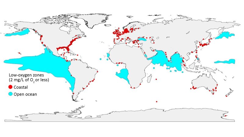 The areas of extreme oxygen depletion are growing both in the open ocean and in coastal regions. © GO2NE working group. Data from the World Ocean Atlas 2013, Fig. By R. J. Diaz