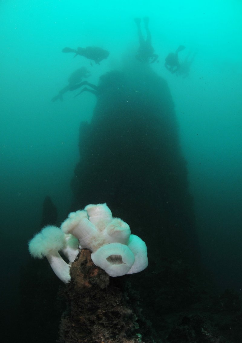 Diving the underwater geyser (c) Sven Gust