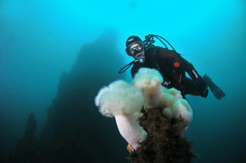 Diving the underwater geyser (c) Sven Gust
