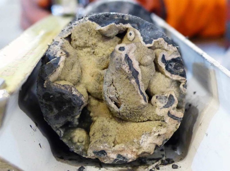 The rotary drill bit of the "MeBo70" has penetrated a layer of limescale activated in soft sediments. Bright Aragon cements typically fill the cavities of the sea carbonate © MARUM - Center for Marine Environmental Sciences, University of Bremen; G. Bohrmann
