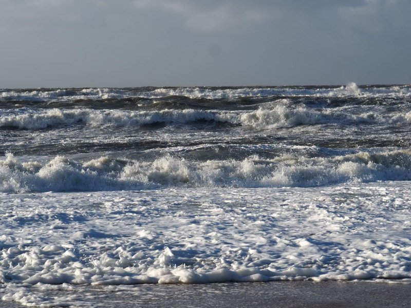 The North Sea off Sylt: Ocean acidification affects the ecosystems of all seas © Olaf Klodt