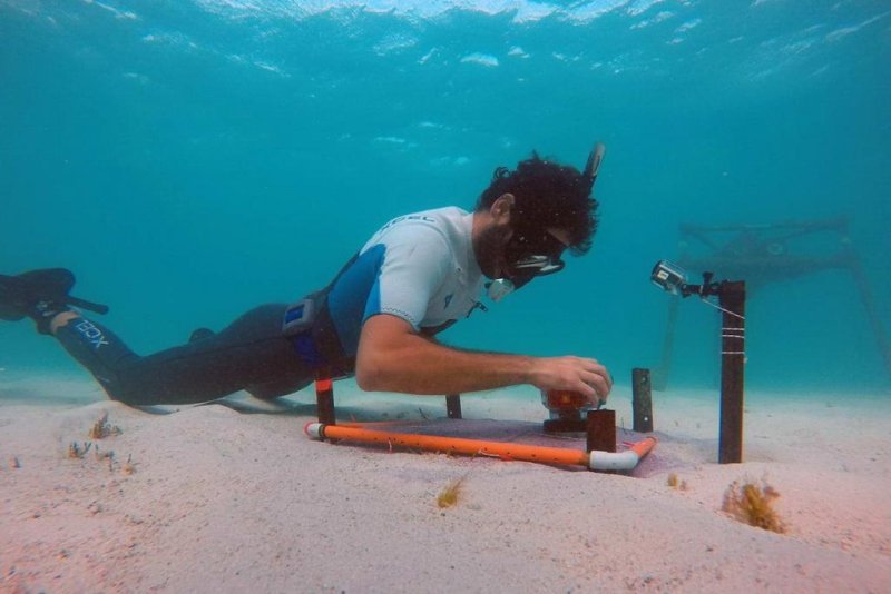 Dr Cuttler undertakes field research to collect in situ oceanographic measurements.
(c) ARC CoE for Coral Reef Studies/ Michael Cuttler