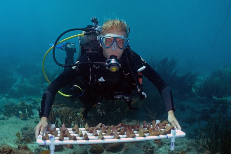 Ready to go by Benjamin Mueller