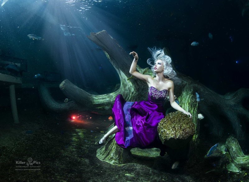 TODI indoor dive centre: Mermaid photo shooting
(c) Konstantin Killer (Model: Mermaid Kat)