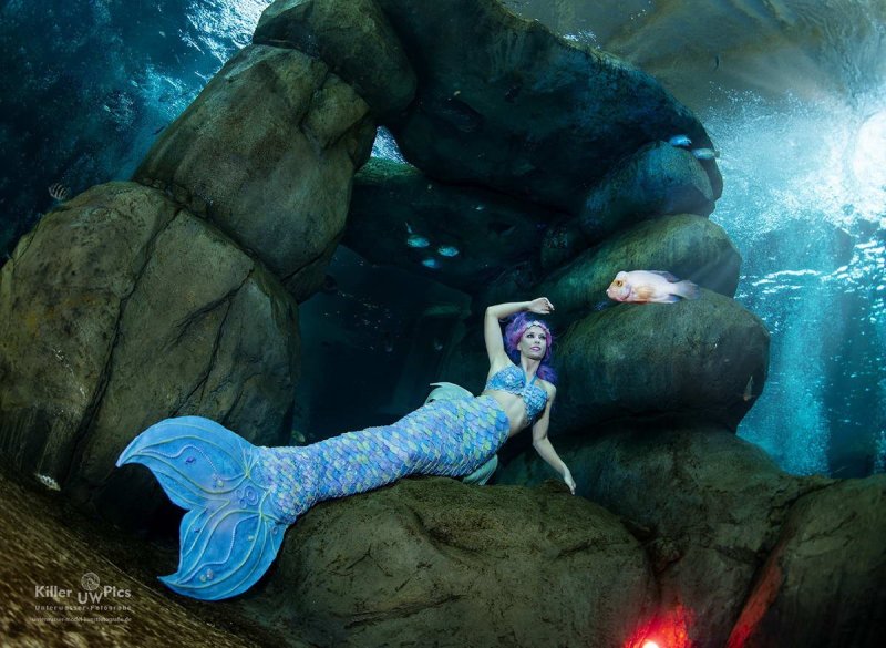 TODI indoor dive centre: Mermaid photo shooting
(c) Konstantin (Model: Mermaid Kat)