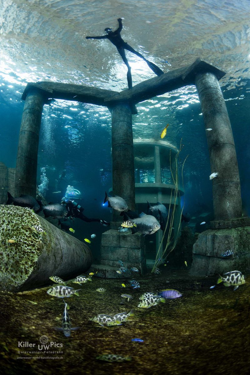 TODI indoor dive centre
(c) Konstantin Killer