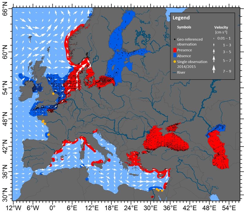 Distribution of Mnemiopsis leidyi in Western Eurasian waters for the period from 1990 to November 2016 based on 12,400 geo-referenced observations (black dots), with the areas presence (red) and absence (dark blue) marked.
(c) Cornelia Jaspers / GEOMAR, DTU Aqua