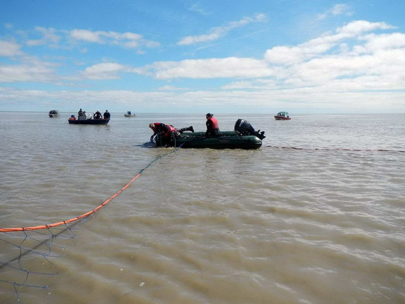 The research team used a group of small aluminum boats to approach individual adult whales in shallow waters of the bay.
(c) NOAA Fisheries/Manuel Castellote