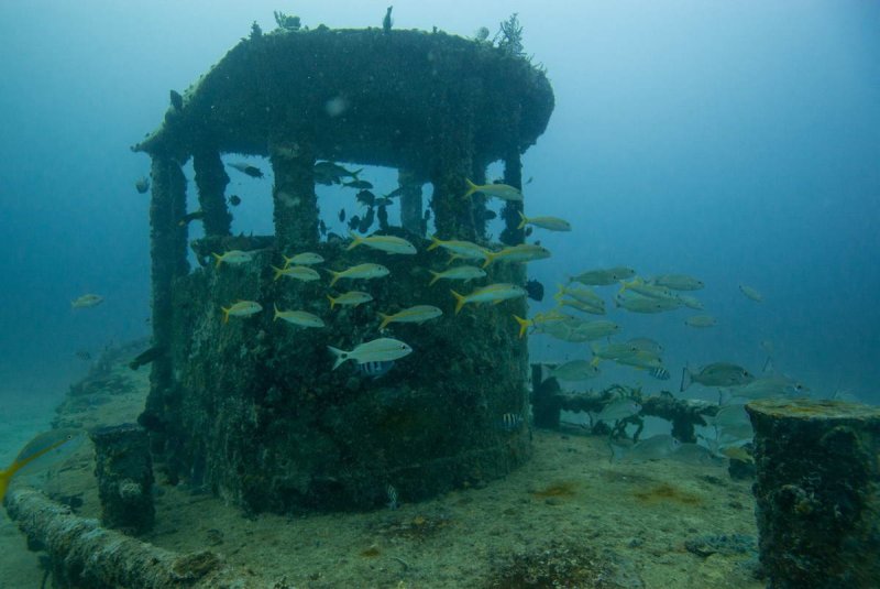 Wreck diving in Grenada
