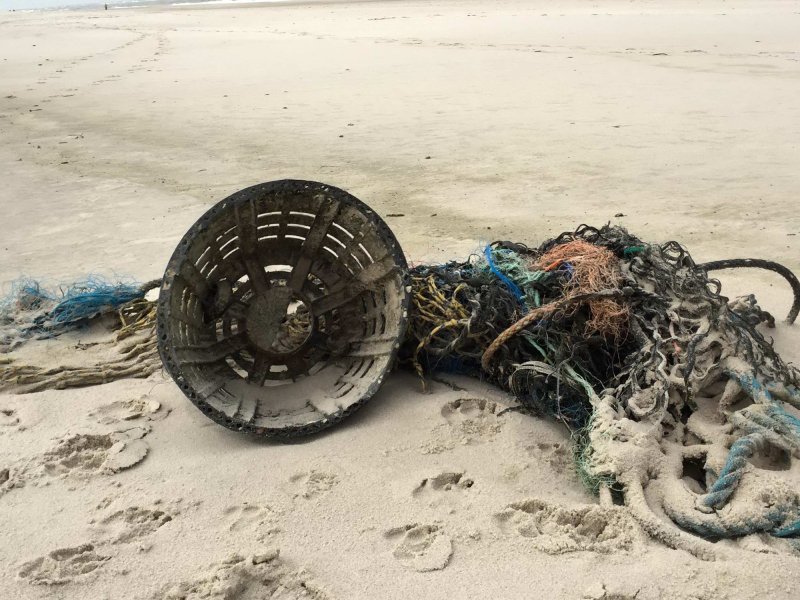 Garbage from the fisheries-industry at the Sylt West-Beach
(c) Olaf Klodt