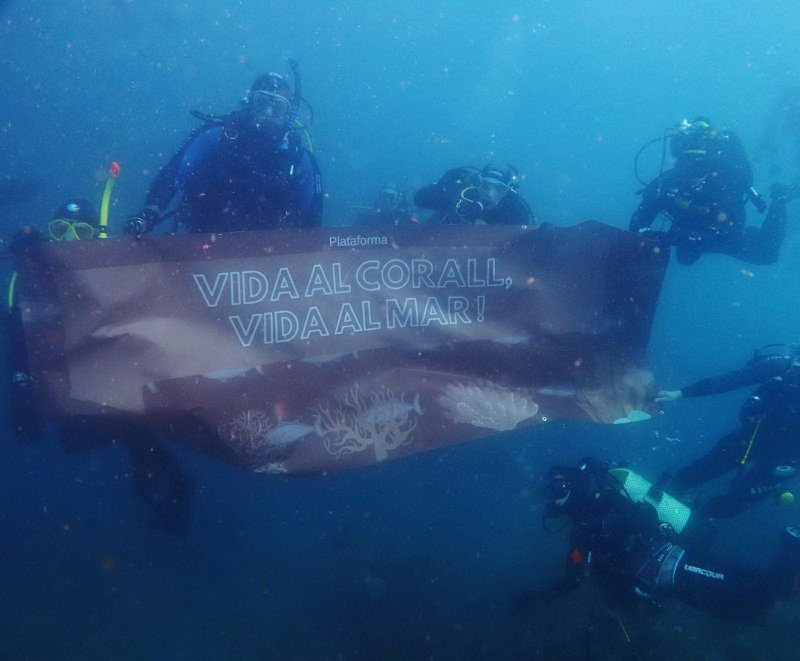 Initiative for the Red Coral (c) Boris Mörker