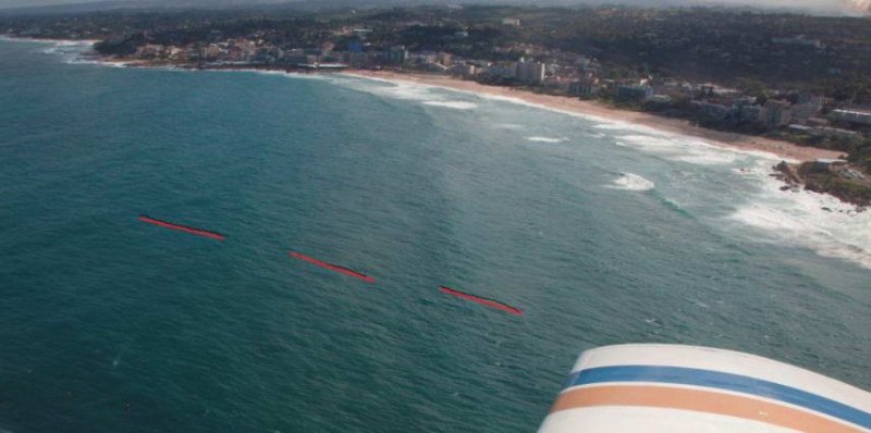 Sharknets (see red lines)
(c) Sharkproject
