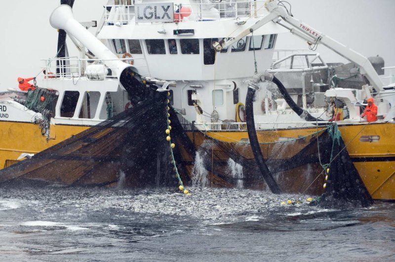 Herring fishing, Norway
(c) Magnus Lundgren, WWF