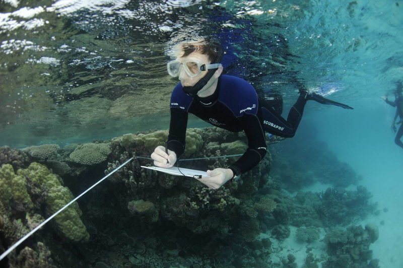 Prof Nick Graham surveying fish communities in the Chagos Archipelago.
(c) Guy Stevens, Manta Trust