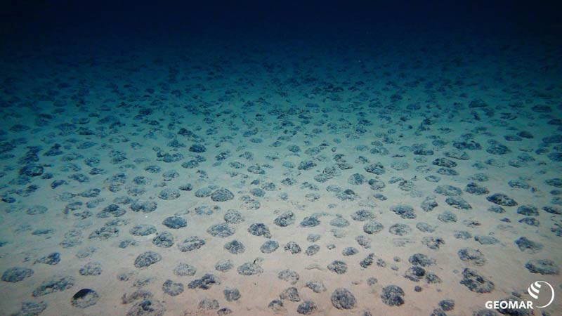 Manganese nodule field in the Clarion Clipperton Zone
(c) ROV-Team, GEOMAR