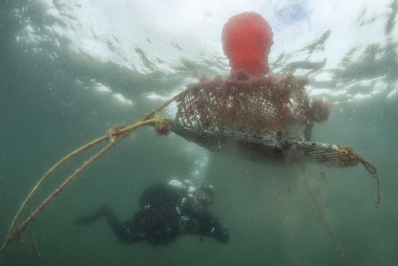 Ghost Net in the Sea
(c) Peter Verhoog, NL Scotland